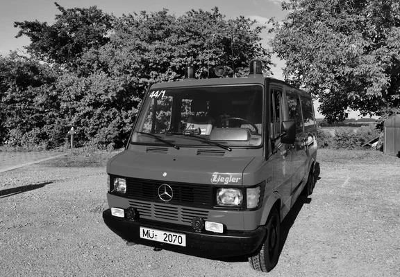 1991-2026 TSF Ziegler.png