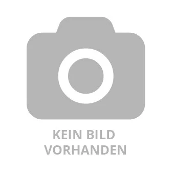 1873-1900 Handdruckspritze.jpg